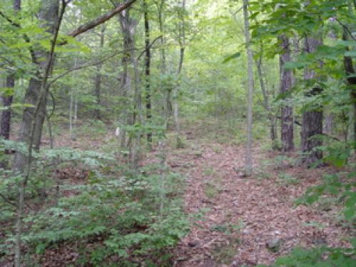Viewing Image 8