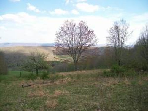 Land for Sale, ListingId:16820663, location: 89 Back Mountain Road Durbin 26264