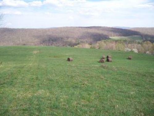 Land for Sale, ListingId:16820664, location: 1 Back Mountain Road Durbin 26264