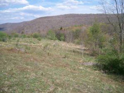 Land for Sale, ListingId:16820665, location: 2 Back Mountain Road Durbin 26264