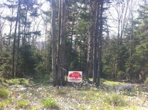 Land for Sale, ListingId:16839139, location: 1 SilverCreek Drive 2 Snowshoe 26209
