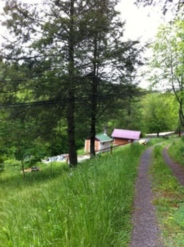 Viewing Image 13