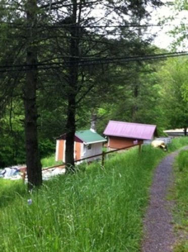 Viewing Image 14