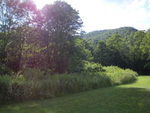 Viewing Image 5