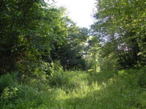 Viewing Image 6