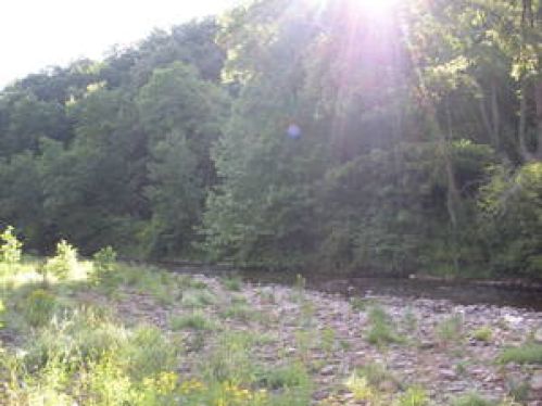 Viewing Image 8