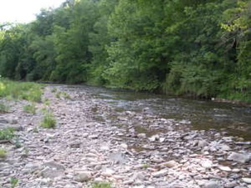 Viewing Image 9