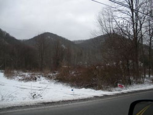 Viewing Image 10
