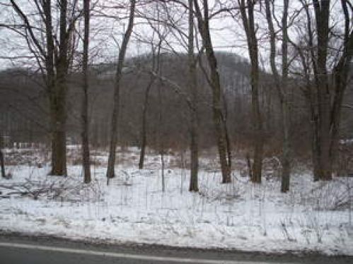 Viewing Image 12