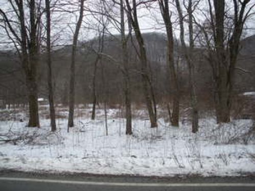 Viewing Image 13