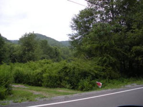 Viewing Image 14