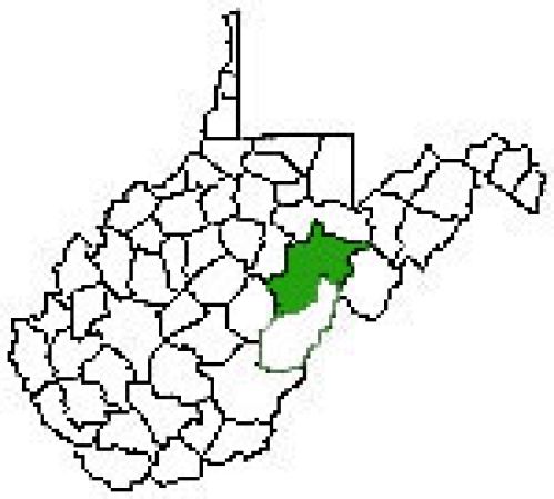 Viewing Image 16
