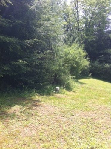 Viewing Image 13