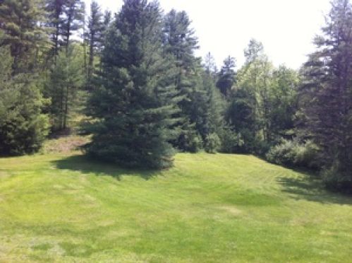 Viewing Image 16