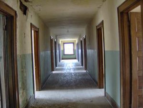 Viewing Image 8