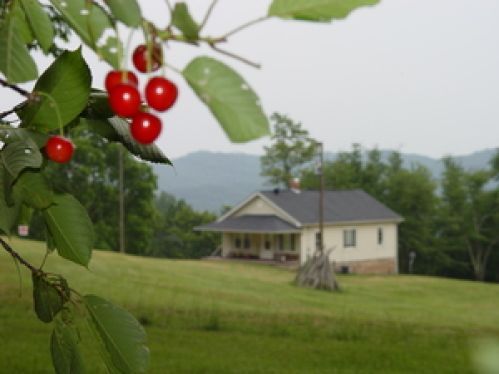 Single Family Home for Sale, ListingId:16986243, location: 3775 Judson Road Alderson 24910