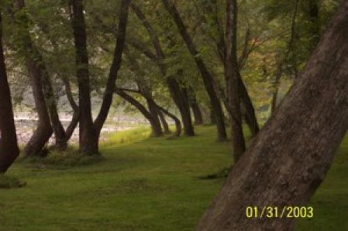 Viewing Image 2