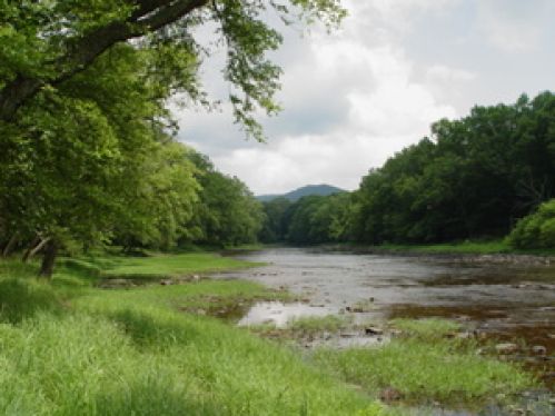 Land for Sale, ListingId:16989597, location: 001 Rt. 60 Renick 24966