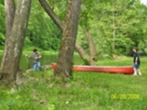 Viewing Image 11