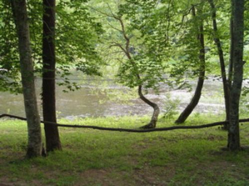 Viewing Image 27