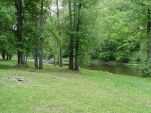 Viewing Image 41