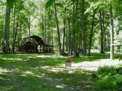 Viewing Image 51