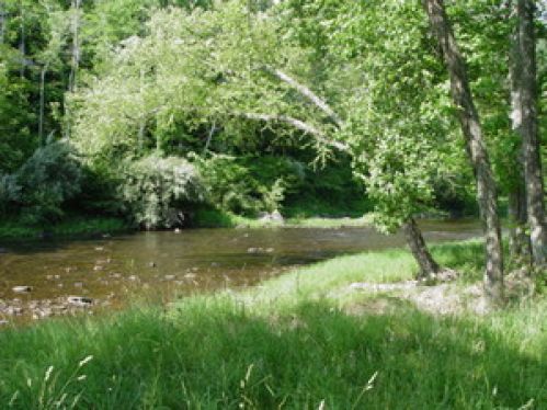 Viewing Image 61
