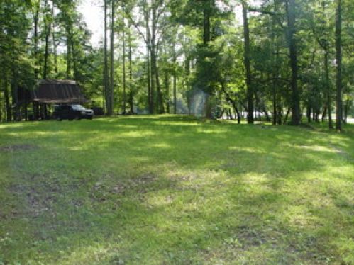 Viewing Image 83