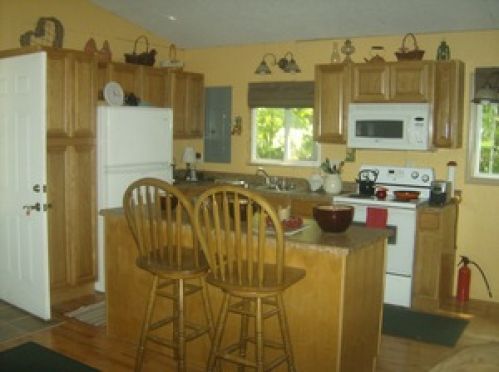 Viewing Image 4