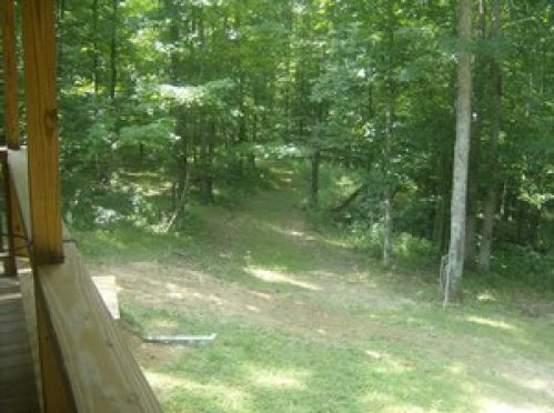 Viewing Image 15