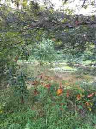 Viewing Image 3