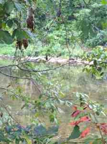 Viewing Image 5