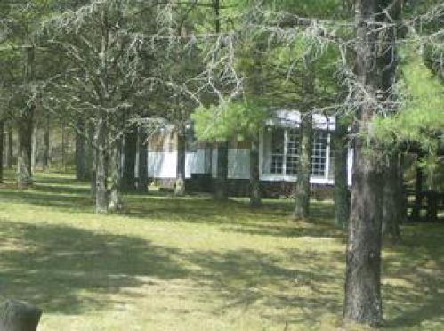 Viewing Image 3
