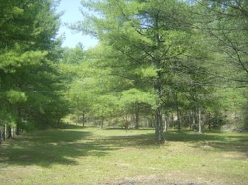 Viewing Image 11