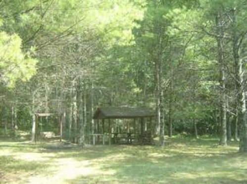 Viewing Image 13