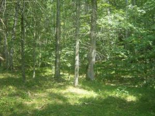 Viewing Image 22
