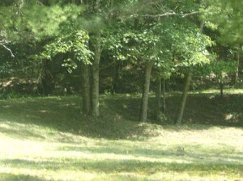 Viewing Image 23
