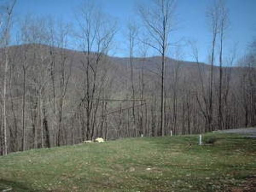 Land for Sale, ListingId:17209811, location: 1 and 2 Tract Rt. 39 Tract 1&2 Marlinton 24954