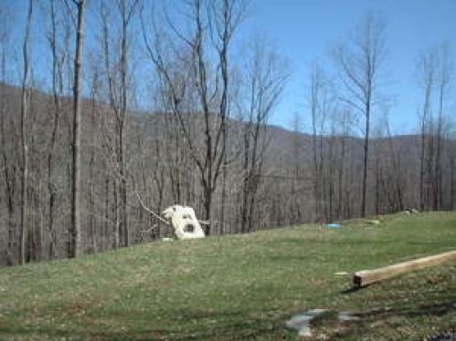 Viewing Image 4