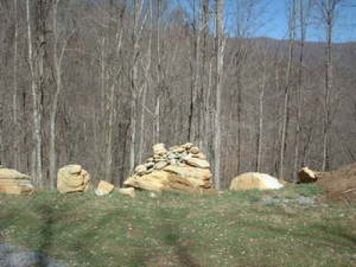 Viewing Image 5