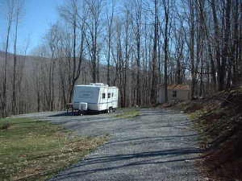 Viewing Image 6