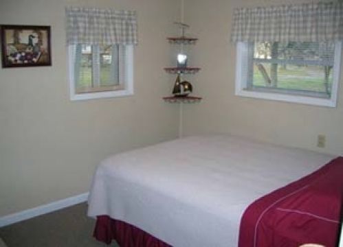 Viewing Image 7