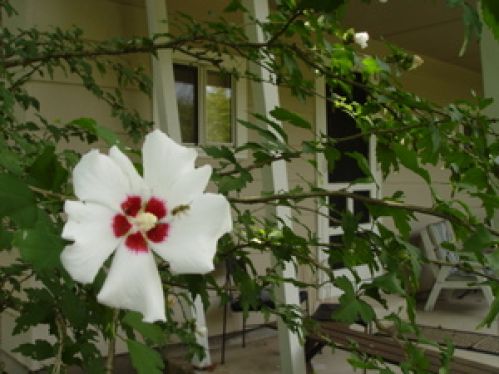 Viewing Image 22
