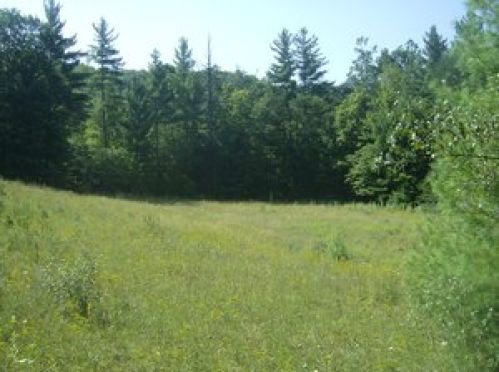 Land for Sale, ListingId:17243454, location: 101 Rt 92 Marlinton 24954