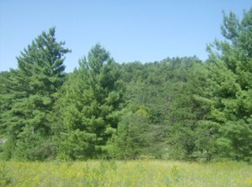 Viewing Image 6