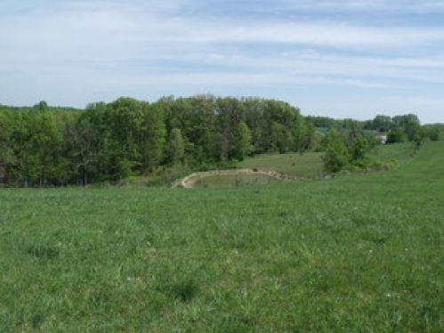Viewing Image 3