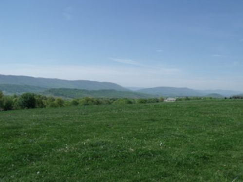 Viewing Image 8