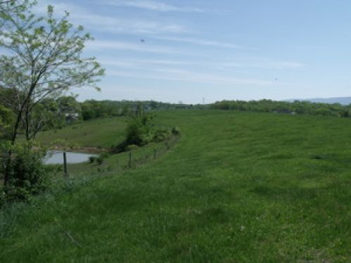 Viewing Image 13