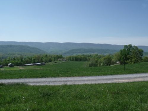 Land for Sale, ListingId:17259929, location: 1 John Deere Rd Peterstown 24963