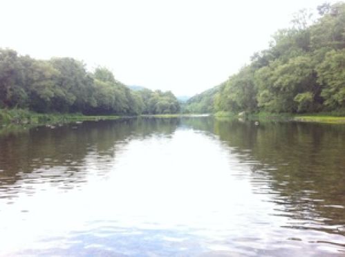 Viewing Image 6